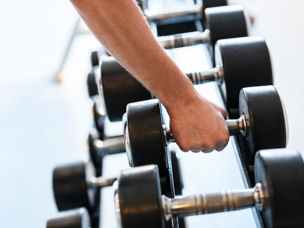 muscle fibers during growth explained by science