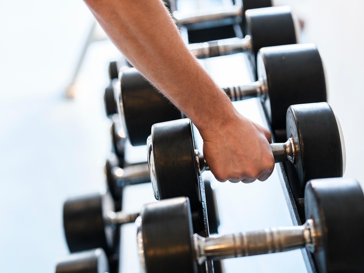 muscle fibers during growth explained by science